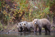 Canada-British Columbia-Chilko Explorer Ride